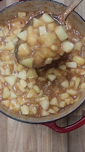 21K views · 118 reactions | APPLE HAND PIES  (Save this recipe!!)...