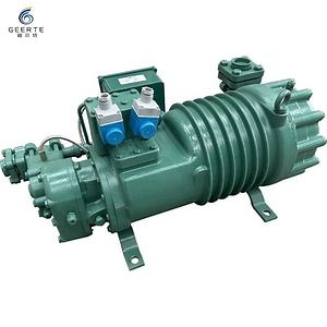 [Hot Item] Cold Storage Unit Low Temperture Screw Compressor for Blg Series