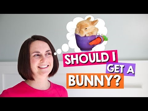Watch BEFORE Getting a Pet Rabbit! **Complete Guide**