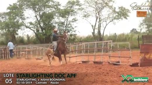 Leilão Online Qualidade Trabalho 2023 Lote 5 - STARLIGHTING DOC APF Pai: STARLIGHTING Mãe: AISHA BOONSMAL Avô materno: BODEE BOONSMAL Sexo: Castrado Raça: Quarto de Milha - P300756 Pelagem: Alazão Data de nascimento: 02/10/2019 Treinados em Laço Pé e Bezerro. https://www.xrleiloes.com.br/home/cavalos/leilao/491/lote/8121 #XRLeilões #Cavalos #cavalosdecorrida #cavaloshipismo #cavaloshipismobrasileiro #cavalosdesalto #CavalosQM #QuartodeMilha #CavalosdeRédeas #CavalosdeApartação #redeas #apartação