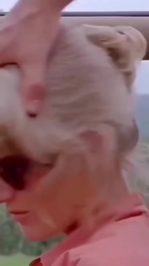 2.5K views · 23 reactions | El rey del acordeón 老 @iamramonayala | Accordion Pro Shop | Facebook