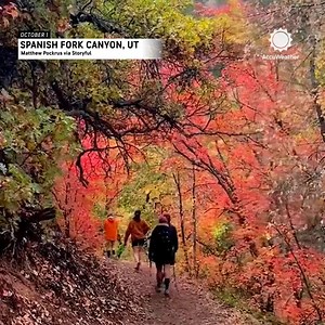 Happy Monday! Kicking off the week with a look at some gorgeous fall foliage in Utah! 🍁😍 | AccuWeather