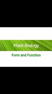 3.5K views · 18 reactions | Plants Morphology Anatomy and Physiology | Biology Ocean | Facebook