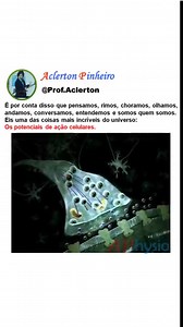 Essa animação mostra o ataque do bacteriófago T4 (vírus que infecta a bactéria) na bactéria E-coli. Até uma bactéria pode pegar um vírus, tá foda hein?? Os vírus que infectam bactérias são chamados de bacteriófagos e determinados bacteriófagos têm sido estudados detalhadamente em laboratório (fazendo deles alguns dos vírus que conhecemos melhor). Bacteriófagos, assim como os outros vírus, devem infectar uma célula hospedeira para se reproduzir. As etapas que compõem o processo de infecção são ch