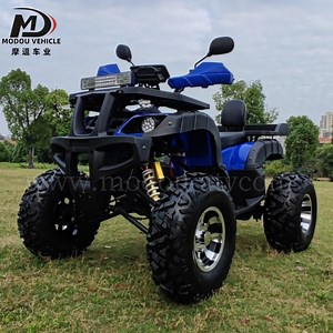 [Hot Item] 2000W Electric All-Terrain ATV for Adult Mountain off-Road Outdoors 4X4 Powerful Horsepower