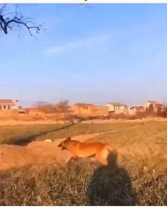 Holy smokes | Back Roads Apparel