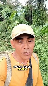 18K views · 539 reactions | Gacor lagi isi kabam angah.(Ada teks yang lucu padahal angah gak minta itu) #vacation | Alma Arif | Facebook