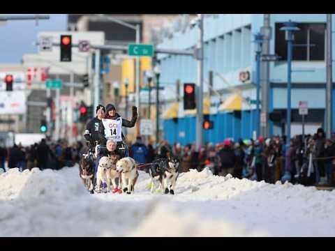 Barking Dogs & Brave Mushers: The Iditarod 2024 Kicks Off in Anchorage!