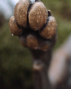 622K views · 644 reactions | Dogs Trust on Reels | Facebook