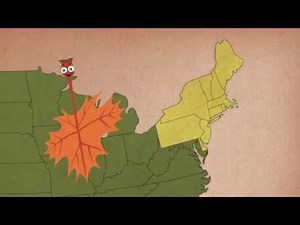 3rd Grade Video: Sap to Syrup