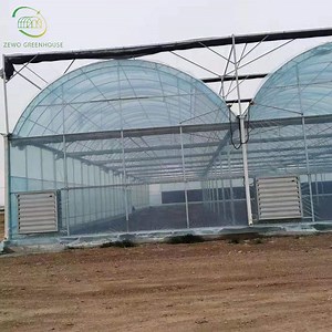 [Hot Item] Agricultural Multi Span Tunnel Greenhouse with Hydroponics Planting System for Vegetables /Flowers