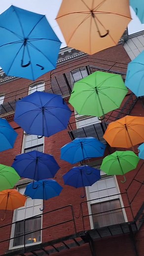 2.7K views · 31 reactions | The Umbrella Sky Project for the summer...