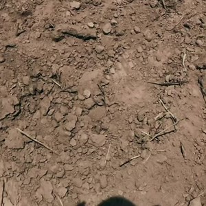 73K views | 홑홏홃 on Reels | Facebook