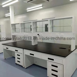 [Hot Item] Scientific Research Laboratory Chemical Resistant Bench