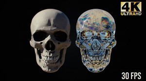 Download Human Skull Rotating Loop Pack - aedownload.com