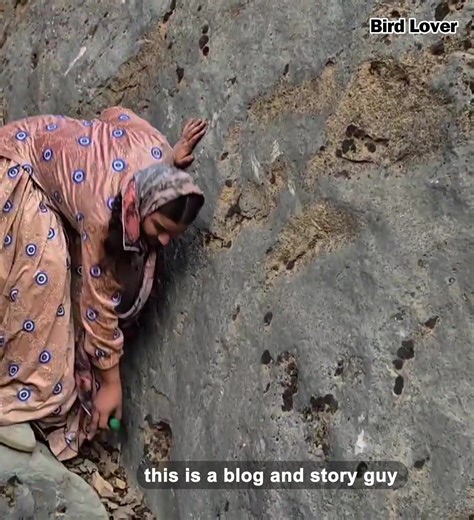 Crying Dorsa's help and attacking man in the mountains clashes and anesthesia man | Bird Lover