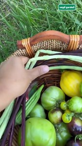 Sustainable Gardening with Vego Raised Garden Beds:  Made from Metal Designed to Last 20+ Years 凌 Naturally Yields Stronger Healthier Plants  Easy to Assemble  Ready to Ship  vegogarden.com | Vego Garden | Facebook