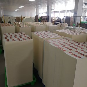 [Hot Item] Wood Pulp Food Grade PE Coated Cup Paper Sheets