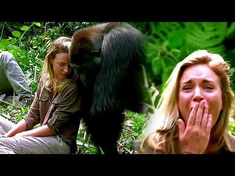 When This Woman Got Too Close to a Gorilla and The Unexpected Happened