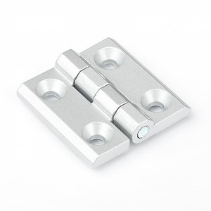[Hot Item] Zinc Alloy Flush Hinge 50X50 for Electrical Enclosures and Cabinet Doors