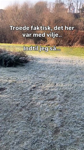 Hvem er det egentlig, der bliver politianmeldt? Er det grundejerforeningen eller hvad? 😆 Jeg ville langt hellere have, de blev anmeldt for al det svineri, der ligger der i området. Der er så mange flasker og dåser.. men næh nej.. det er have”affald”. Som jo slet ikke er affald, men faktisk er virkelig godt at lade ligge - både for dyrene, naturen, jorden.. Ja MANGE ting. Tænk sig så, at de får det forærende på denne måde? Helt gratis næring og mad og ly til dyr 💚 #grønomstilling #forestfriends