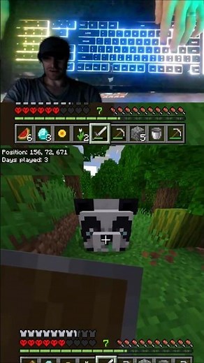 literally my first sick panda 🐼#minecraft #stream