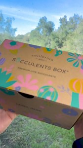 Our box for this month is here ❤️🎁 #succulentsbox #subscriptionbox #succulents #cactus #senecio #crassula #haworthias | Succulents Box