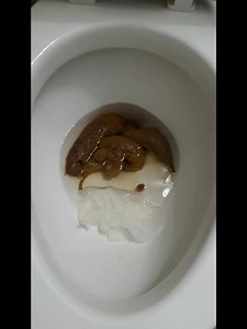 Flushing monster load