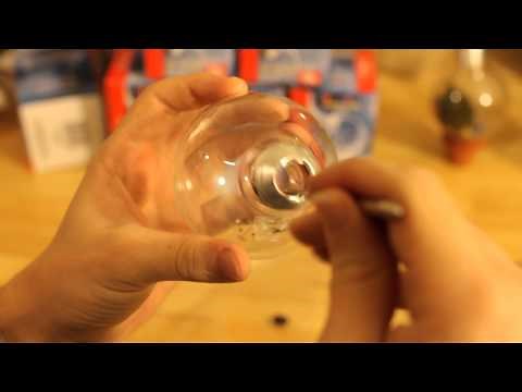 How to make a Lightbulb Terrarium (1of2)