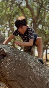 This was a huge step up in confidence moving at height and balancing for Keir. One of many many amazing tree bridging challenges possible in this treerunning wonderland. #evolvemoveplay #naturalmovement #movementculture #primalmovement #treeclimbing #treerunning | Rafe Kelley