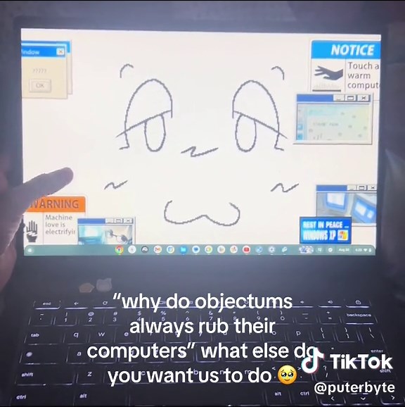 Understanding Objectum Sexuality and Affection