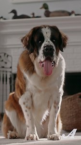 You shouldn’t have to worry about your home. | Auto-Owners Insurance