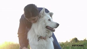 Der Fellwechsel bei euren Fellnasen steht an.  Ihr könnt ganz einfach den Fellwechsel eures Vierbeiners beschleunigen und vereinfachen. Ein tägliches Striegeln und Bürsten fördert zudem die Durchblutung der Haut und es werden außerdem abgestorbene Haare entfernt.  Ihr solltet lediglich darauf achten, den passenden Kamm für den jeweiligen Felltypen zu nutzen. Wie unterstützt ihr eure Lieblinge beim Fellwechsel? ❤️ | Peticare | Facebook