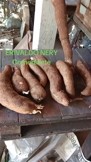 COMEDIANTE ERIVALDO NERY no TikTok