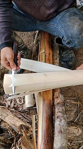 Abaca farming harvesting process. #abacafarming #farming #provincelife #farminglife | Judie Zafe