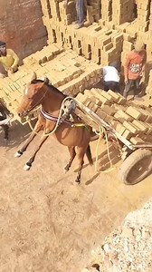 11K views · 24 reactions | 藍 | PlayMarathi | Facebook