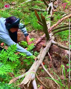 15K views · 46 reactions | Une femme découvre des bijoux cachés grâce à sa patience et à un détecteur de métaux. | Fabiosa France | Facebook