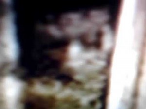 REPTILIAN MORPHING DEMON & JOE PESCI