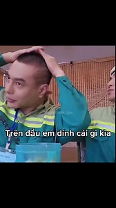Tình ta bóc mùi như là đống 💩🪰#kieuminhtuan #leduongbaolam #2ngay1dem #ilovetiktok #LENDOM