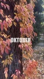 22 reactions |  Herbstimpressionen im Schlosshotel Berlin –...