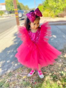 Hot Pink Tutu Dress Kids Birthday Girl Dress Flower Girl Tutu Dress Puffy Tutu - Etsy Canada