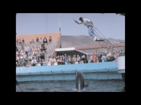 Marineland of the Pacific 1963 archive footage