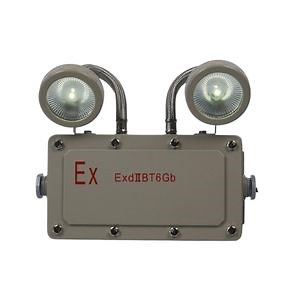 [Hot Item] Factory Price Exd Certified IP66 110lm/W 10W 3hrs Lithium Battery Wall Mount Explosion-Proof Emergency Exit LED Light for Hazardous Industrial Areas