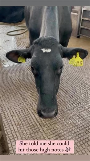 62K views · 312 reactions | NAILED IT!  | Farmers Weekly | Facebook