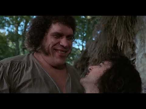 Fezzick and Inigo 💕