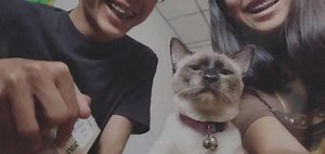 9.8K views · 840 reactions | Statue - Lil' Eddie - Mark | 혾홤홫홚홧홞홯홚 ダン | Facebook