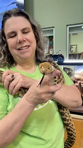 23 reactions | Come meet the very cool and awesome Bull Snake, Taurus! There will be a special meet and greet with Taurus at 2pm this Sunday, September 15th, on-site in the Bryant Edwards Learning Center. You can grab tickets from the website and check out all the other cool things to explore! This is YOUR community nature center! Hope to see you there! #community #snakes #bullsnake #naturecenter #riverbendnaturecenter #wichitafallstx #texas | River Bend Nature Center | Facebook