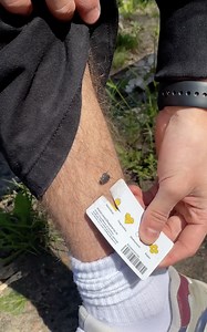 Conseils pratiques pour survivre dans la nature | BRICO ADOS