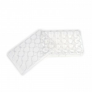 [Hot Item] Medmount Laboratory Round PP Disposable Multi-Channel 96 Well Deep Well Plates