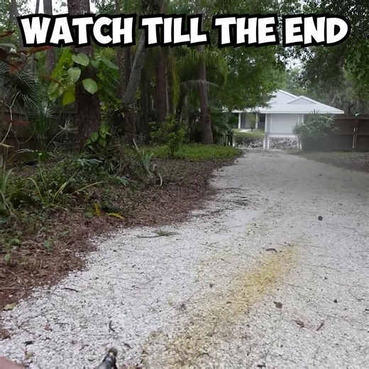 DIY FAIL Explosion | The Backyard Scientist